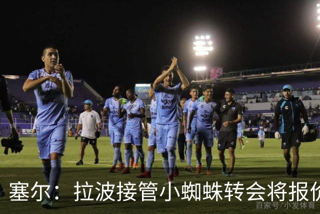 塞尔：拉波接管小蜘蛛转会将报价1.3亿欧；阿劳霍&拉菲无意离队