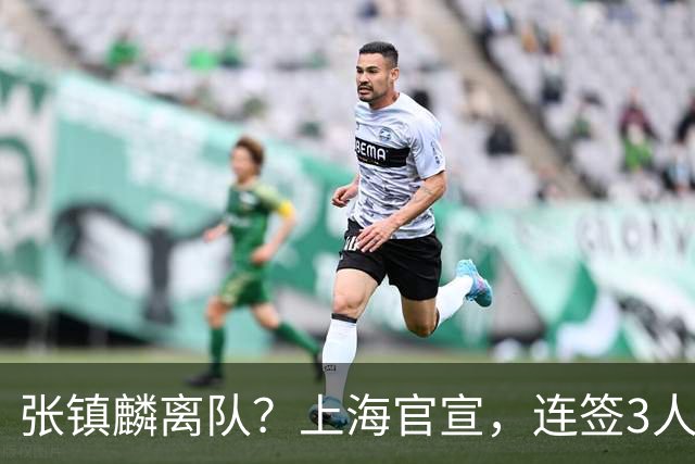 张镇麟离队？上海官宣，连签3人，1顶薪合同+1个C类+1个B类