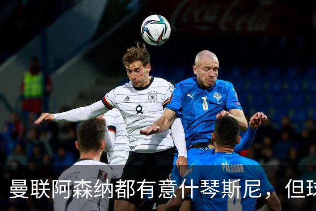 曼联阿森纳都有意什琴斯尼，但球员最终决定退役